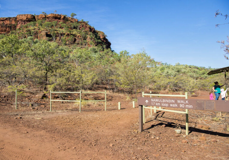 Head west to explore the spectacular gorge country of Gregory National Park. Known as Judbarra to the local indigenous people, it is the second largest park in the Territory.